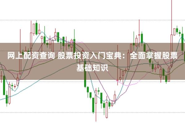 网上配资查询 股票投资入门宝典：全面掌握股票基础知识