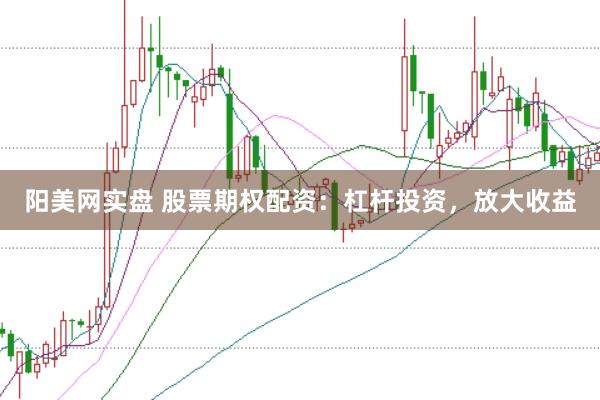 阳美网实盘 股票期权配资：杠杆投资，放大收益