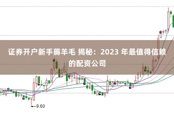 证券开户新手薅羊毛 揭秘：2023 年最值得信赖的配资公司