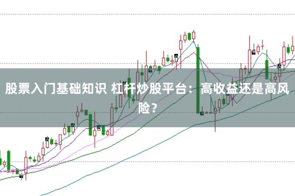 股票入门基础知识 杠杆炒股平台：高收益还是高风险？