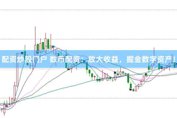 配资炒股门户 数币配资：放大收益，掘金数字资产！