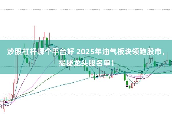 炒股杠杆哪个平台好 2025年油气板块领跑股市，揭秘龙头股名单！